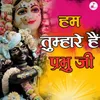 About Ham tumhare hain prabhu ji Song